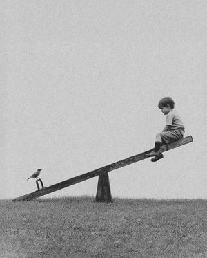 Image post by @fubiz on Instagram