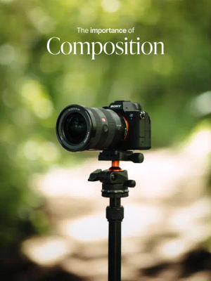 Video post by @sonyalpha on TikTok