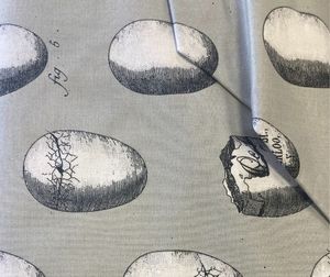 Image post by @sewdowntown on Facebook