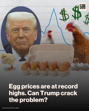 Image post by @fivethirtyeight on Instagram
