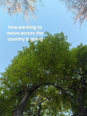 Video post by @lexy.meyers on TikTok