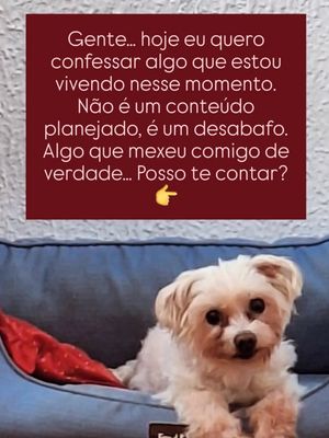 Image post by @domingasalvimoficial on Instagram
