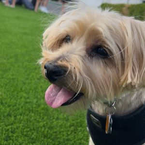 Image post by @jeroguerra10 on Instagram