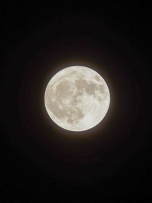 Image post by @throughcollinseyes on Instagram