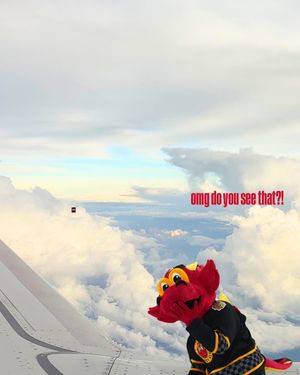 Image post by @indyfuel on Instagram