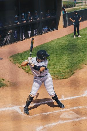 Image post by @sfa_softball on Twitter