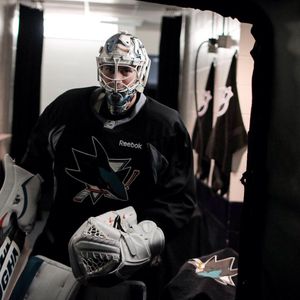 Image post by @sanjosesharks on Instagram