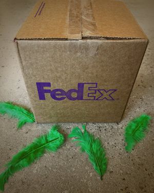 Image post by @FedEx on Twitter