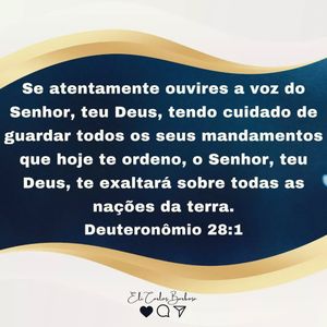 Image post by @elikarlos.oficial on Instagram