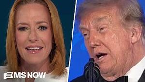 Video post by @msnbc on YouTube