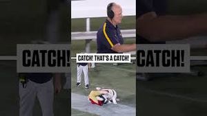 Video post by @xfl on YouTube