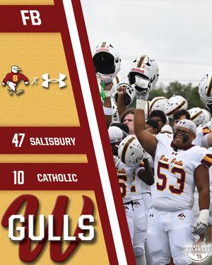 Image post by @suseagulls on Instagram