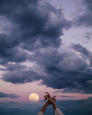 Image post by @lotuswei on Instagram