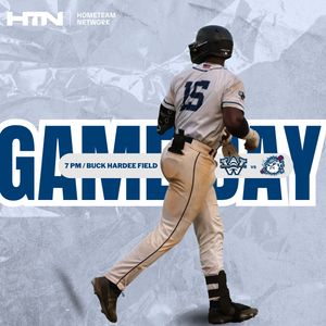 Image post by @ilmsharks on Instagram