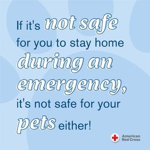 Image post by @americanredcross on Instagram