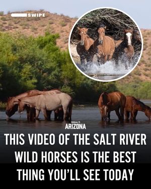 Image post by @welcometoarizona on Instagram