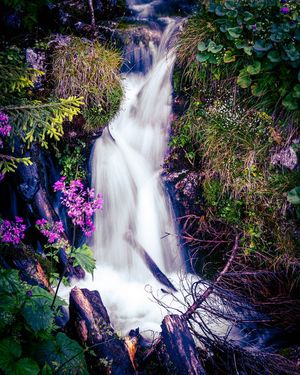 Image post by @cristan.nature.photography on Instagram
