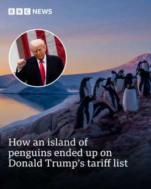 Image post by @bbcnews on TikTok