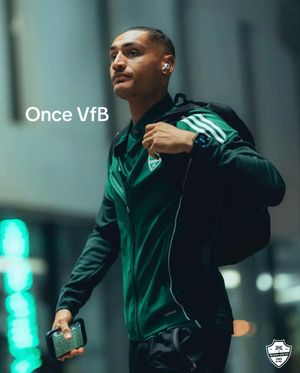 Video post by @vfb on TikTok