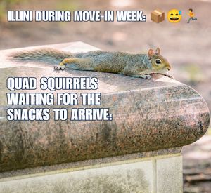 Image post by @illinois_alumni on Instagram