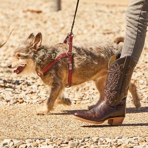 Image post by @justinboots_ on Instagram