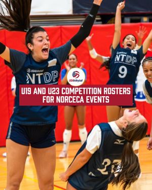 Image post by @usavolleyball on Instagram