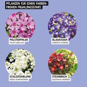 Image post by @oldenburgerwohngarten on Instagram