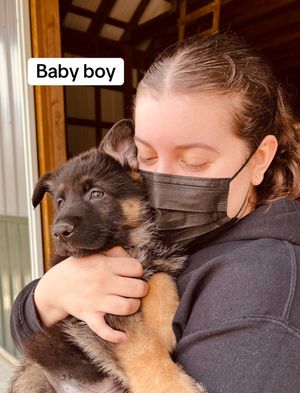 Video post by @brookelee.e on TikTok