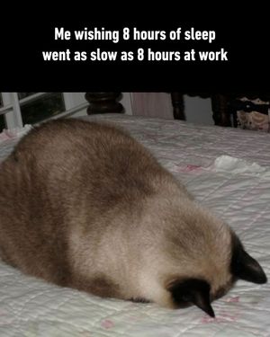 Image post by @9gag on Instagram