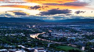 Image post by @UMGRIZZLIES on Twitter