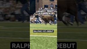 Video post by @buffstv on YouTube