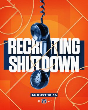 Image post by @auburnwbb on Instagram