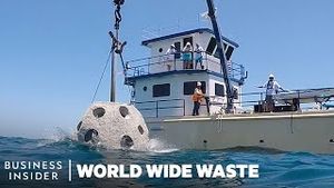 Video post by @businessinsider on YouTube