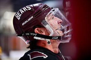 Image post by @shanna_staffordphotography on Instagram