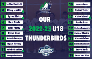 Image post by @FVTBirds_AAA on Twitter
