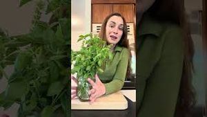 Video post by @carmeninthegarden on YouTube