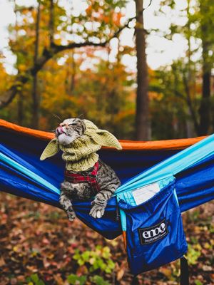 Image post by @enohammocks on Instagram