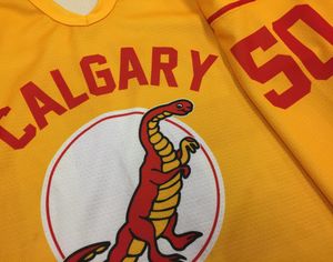 Image post by @ucalgarydinos on Instagram