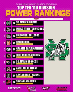 Image post by @the_rawreport on Instagram