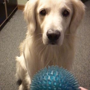 Image post by @mikethewhitegolden on Instagram