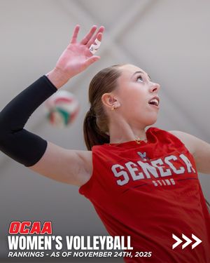 Image post by @theocaa on Instagram