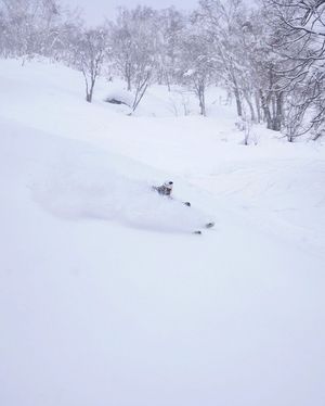 Image post by @j_skis on Instagram