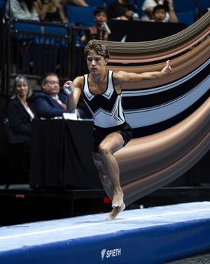 Image post by @usagym on Instagram