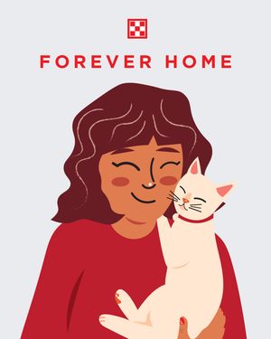 Image post by @purina on Instagram