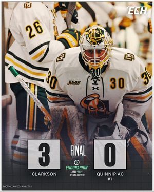 Image post by @everythingcollegehockey on Instagram