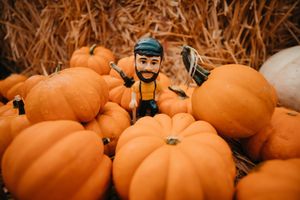 Image post by @nauflagstaff on Instagram