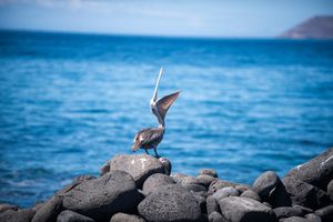 Image post by @kaptured.by.kir on Instagram