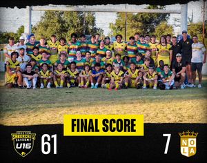 Image post by @houstonsabercats on Instagram
