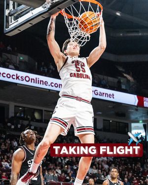 Image post by @gamecockmbb on Instagram