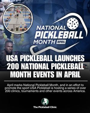 Image post by @thepickleballclinic on Instagram